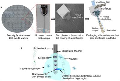 Implantable photonic neural probes with 3D-printed microfluidics and applications to uncaging